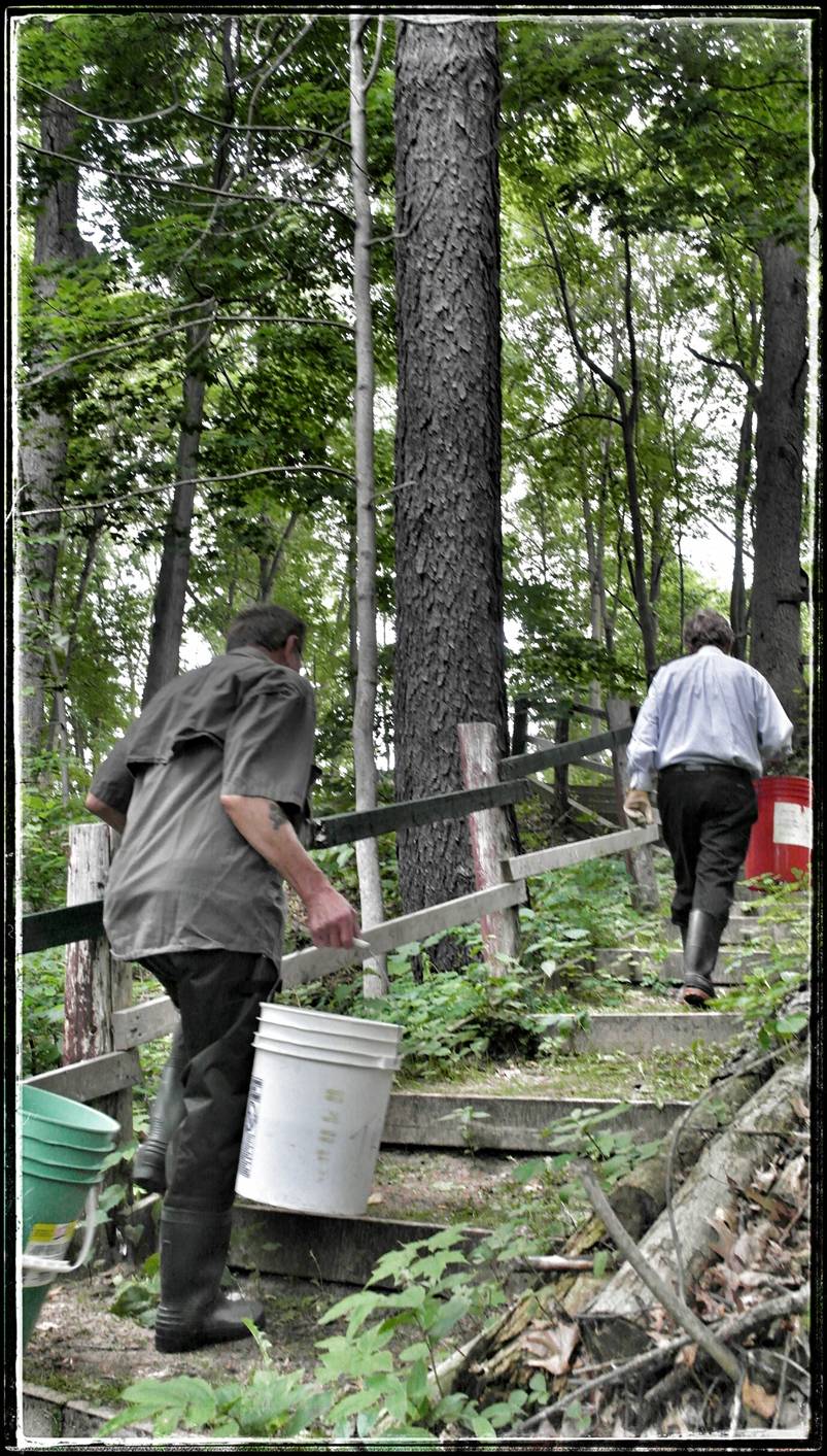 Bucket Brigade